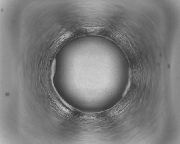 X0000088161249200705151109