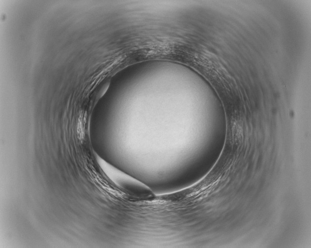 X0000088161250200705151109