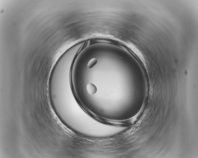 X0000088161287200705151108