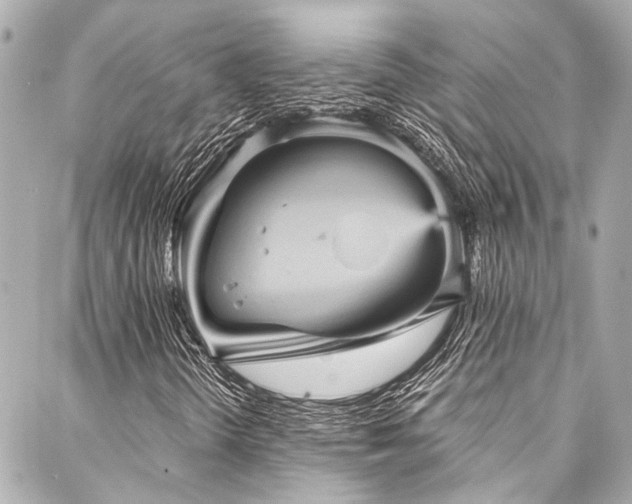 X0000088161298200705151107