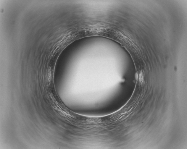 X0000088161299200705151107
