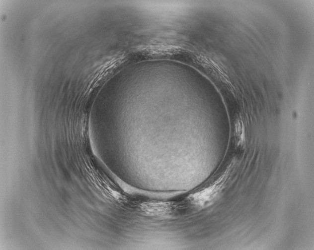 X0000088161300200705151107
