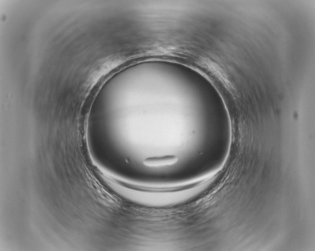 X0000088161308200705151108