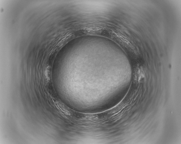 X0000088161346200705151107