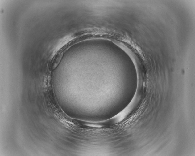 X0000088161352200705151107