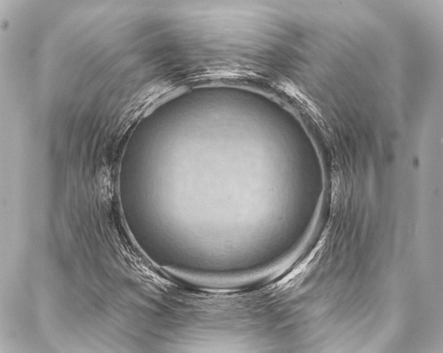 X0000088161353200705151107
