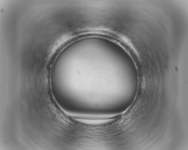X0000088161360200705151107