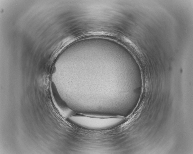 X0000088161361200705151107