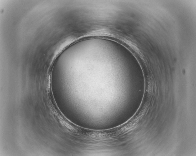 X0000088161366200705151107
