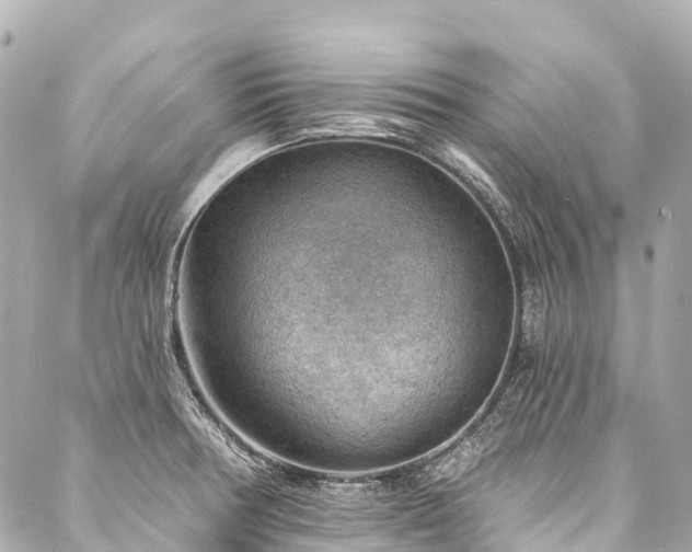 X0000088161378200705151107