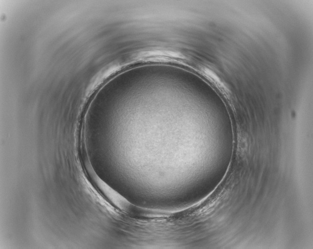 X0000088161384200705151107