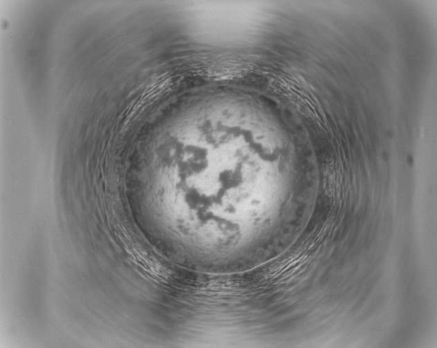 X0000088161393200705151106