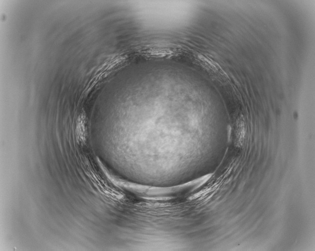 X0000088161394200705151106