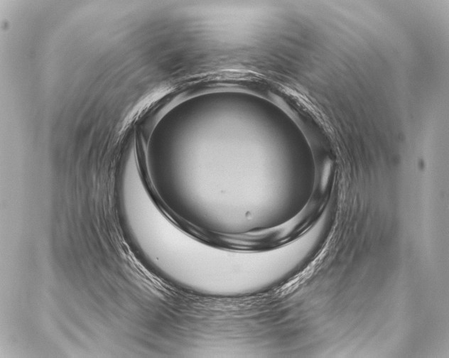 X0000088161402200705151106