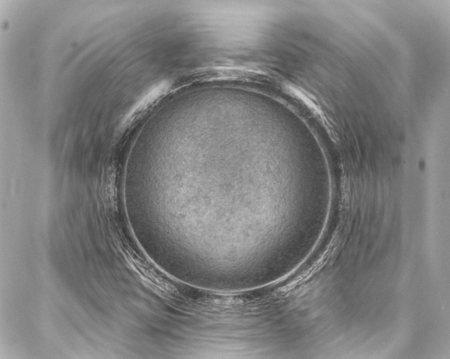 X0000088161403200705151106