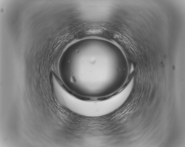 X0000088161441200705151106