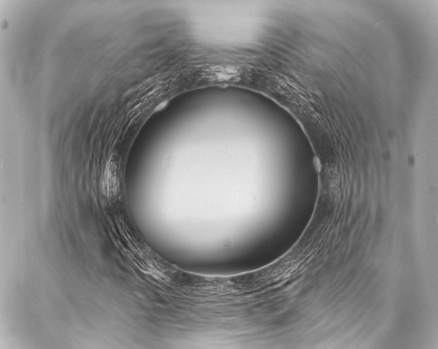 X0000088161442200705151106