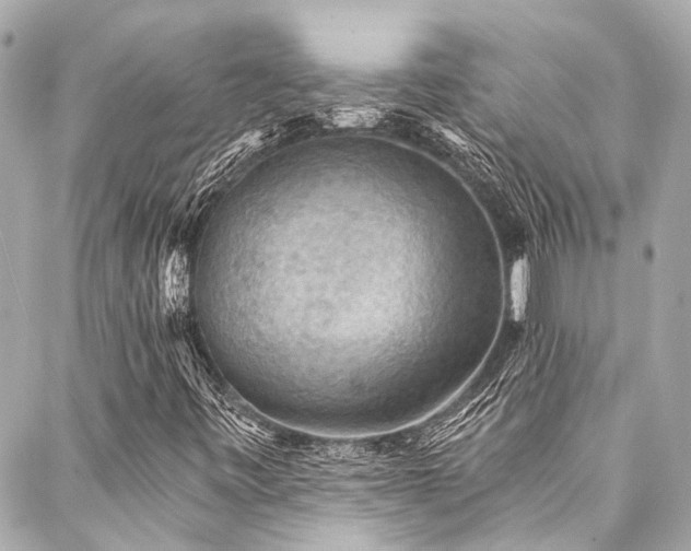 X0000088161443200705151106