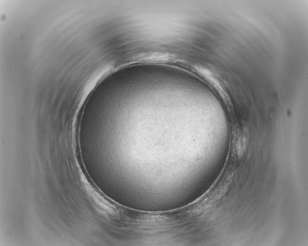 X0000088161475200705151105