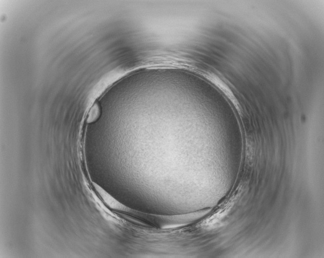X0000088161485200705151105