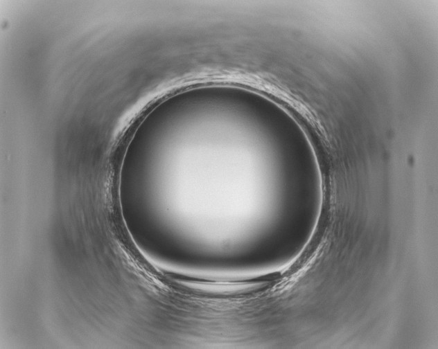 X0000088161502200705151104