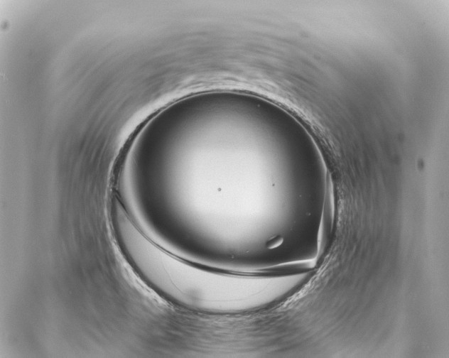 X0000088161518200705151105