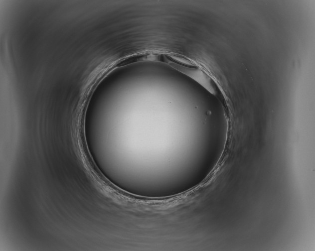 X0000088160001200705221611