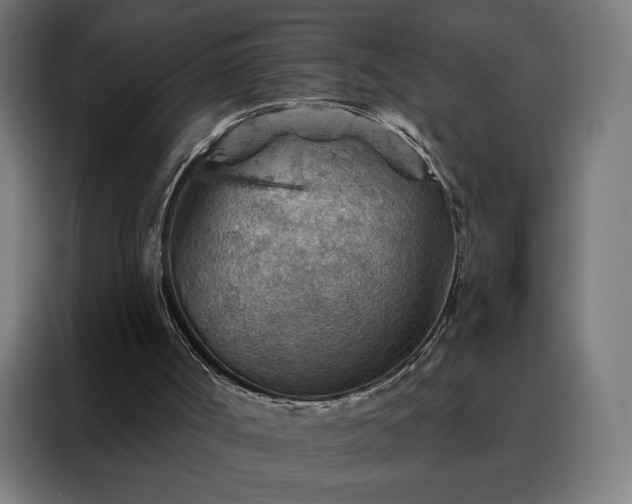 X0000088160002200705221611