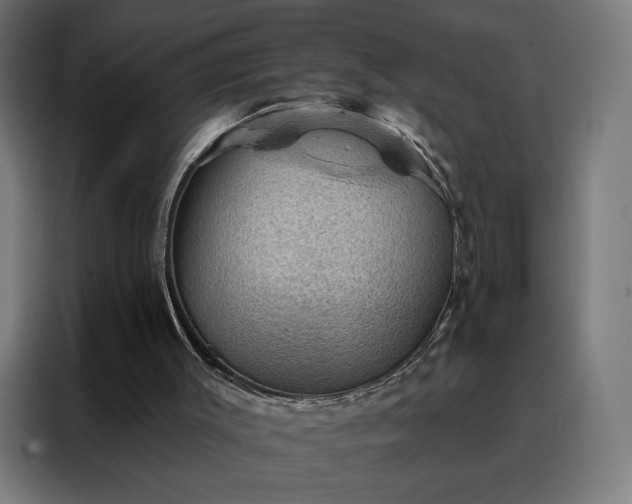 X0000088160003200705221611