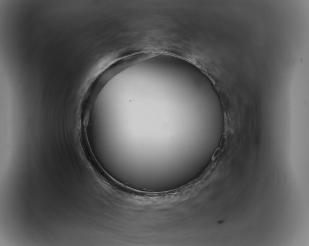 X0000088160005200705221611
