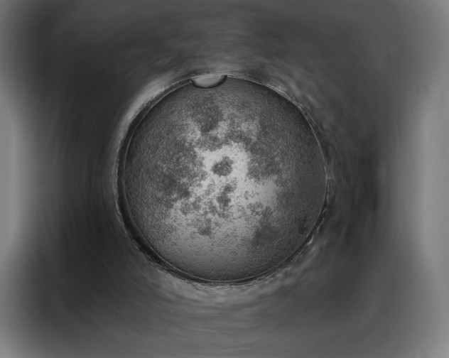X0000088160006200705221611