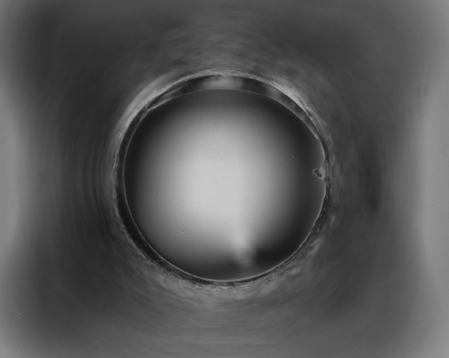 X0000088160007200705221611