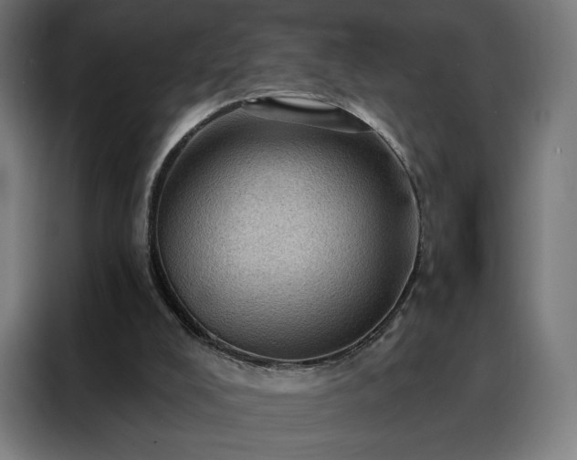 X0000088160008200705221611