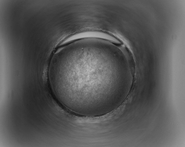 X0000088160009200705221611