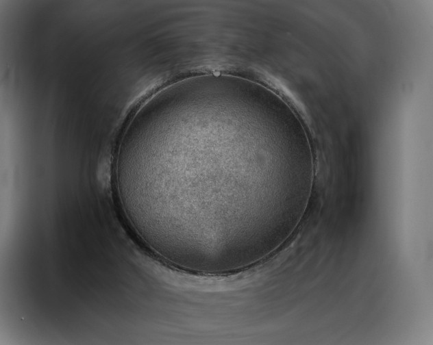 X0000088160010200705221611
