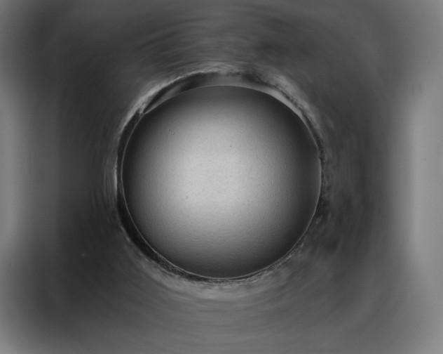 X0000088160011200705221611