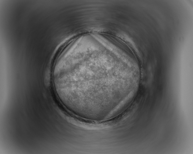 X0000088160012200705221610