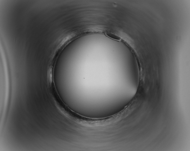 X0000088160013200705221610