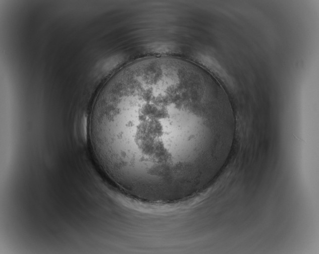 X0000088160014200705221610