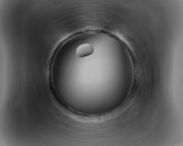 X0000088160015200705221610