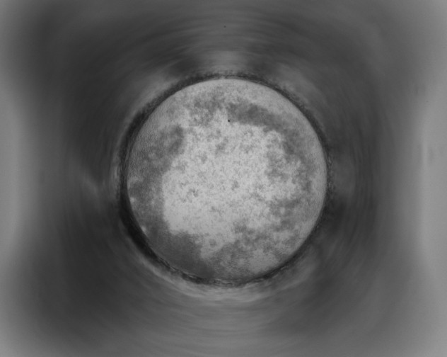 X0000088160016200705221610