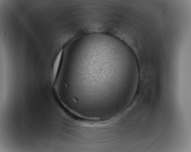 X0000088160017200705221610