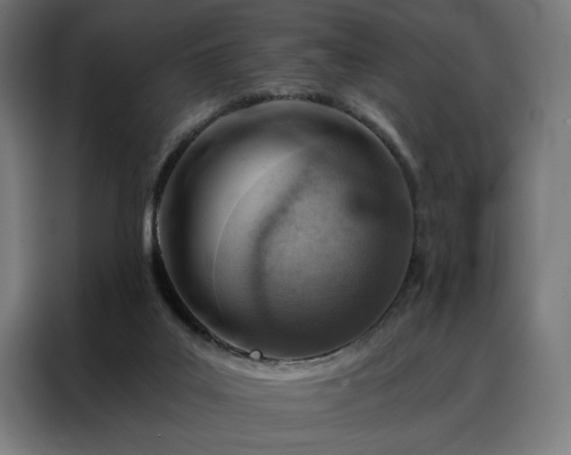 X0000088160019200705221610