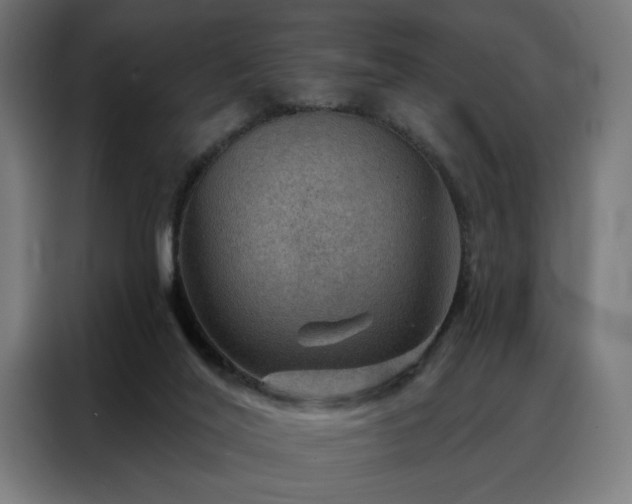 X0000088160020200705221610