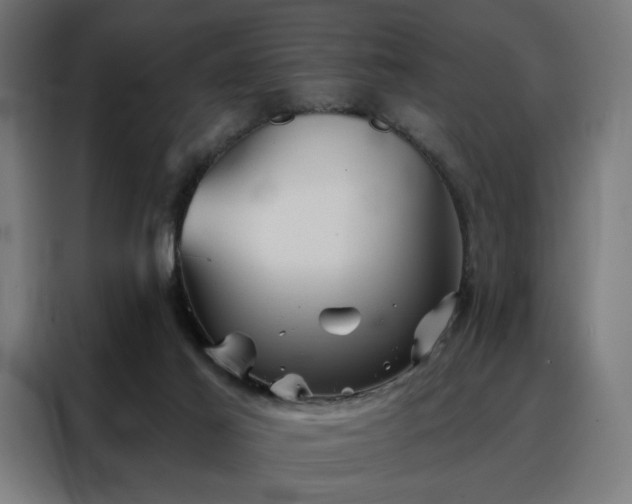 X0000088160021200705221610