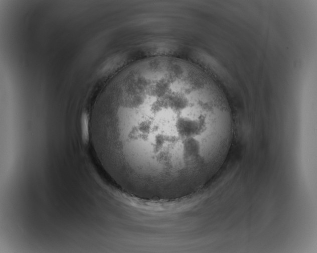 X0000088160022200705221610