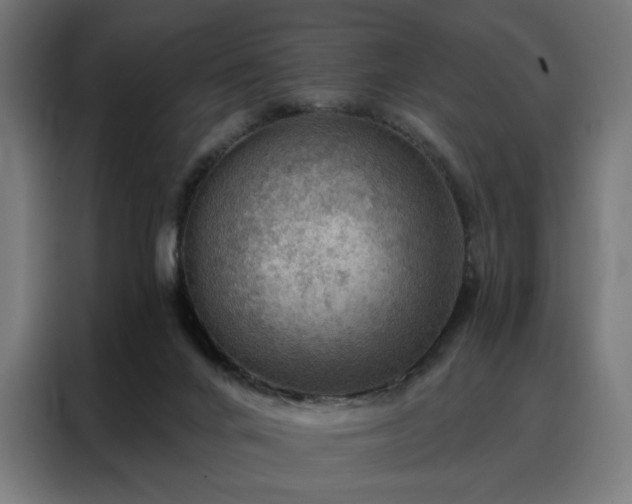 X0000088160024200705221610