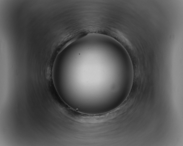 X0000088160025200705221610
