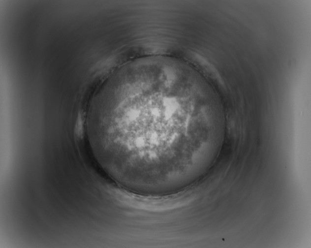X0000088160026200705221610
