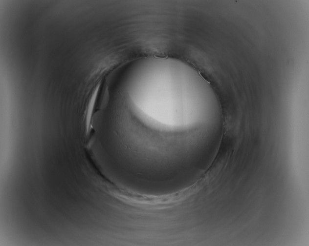 X0000088160027200705221610